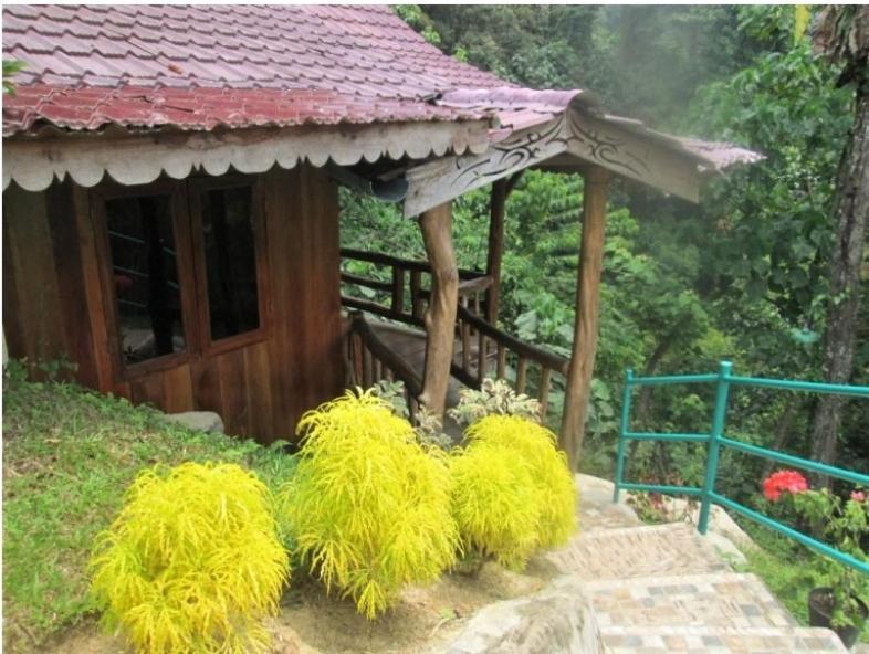 On The Rocks Bungalows, Restaurant And Jungle Trekking Tours Букіт-Лаванґ Екстер'єр фото