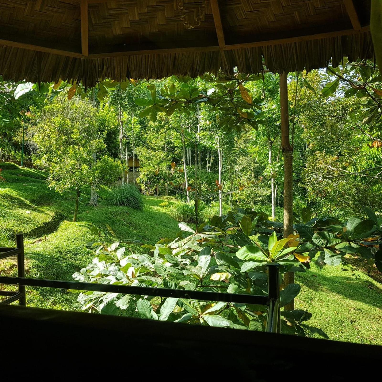 On The Rocks Bungalows, Restaurant And Jungle Trekking Tours Букіт-Лаванґ Екстер'єр фото