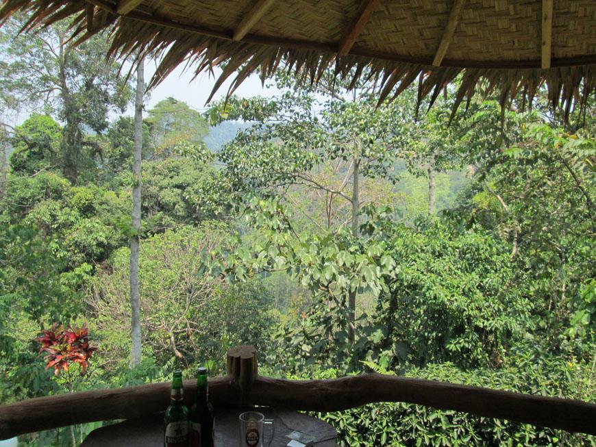 On The Rocks Bungalows, Restaurant And Jungle Trekking Tours Букіт-Лаванґ Екстер'єр фото