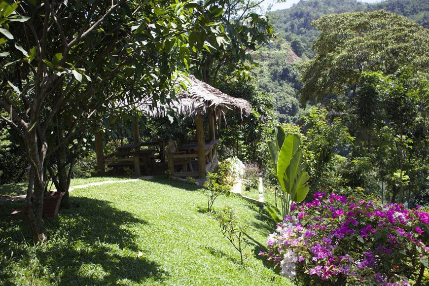 On The Rocks Bungalows, Restaurant And Jungle Trekking Tours Букіт-Лаванґ Екстер'єр фото